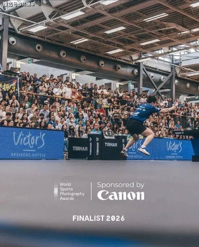 DataReal：2025年中国十佳乒乓球运动员